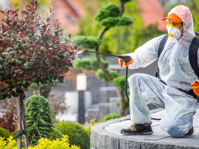 Ayrancılar Haşere İlaçlama